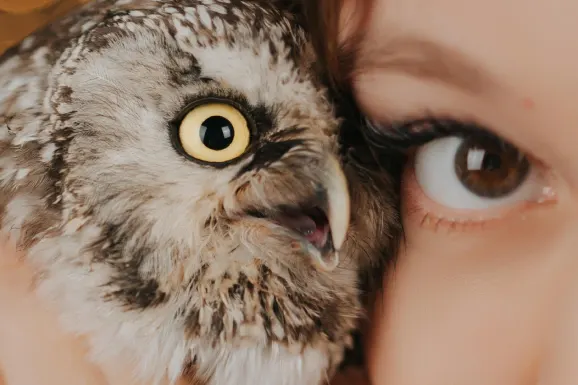 Casino B Bets Tacaíocht